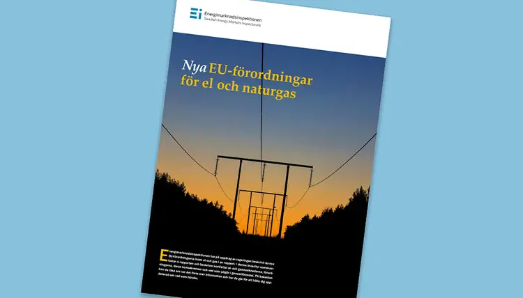 Ei:s sammanfattande broschyr om EU-förordningar (även kallad nätkoder)